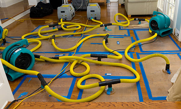 Professional Basement Flood Cleanup technician working in Hardwick, MA